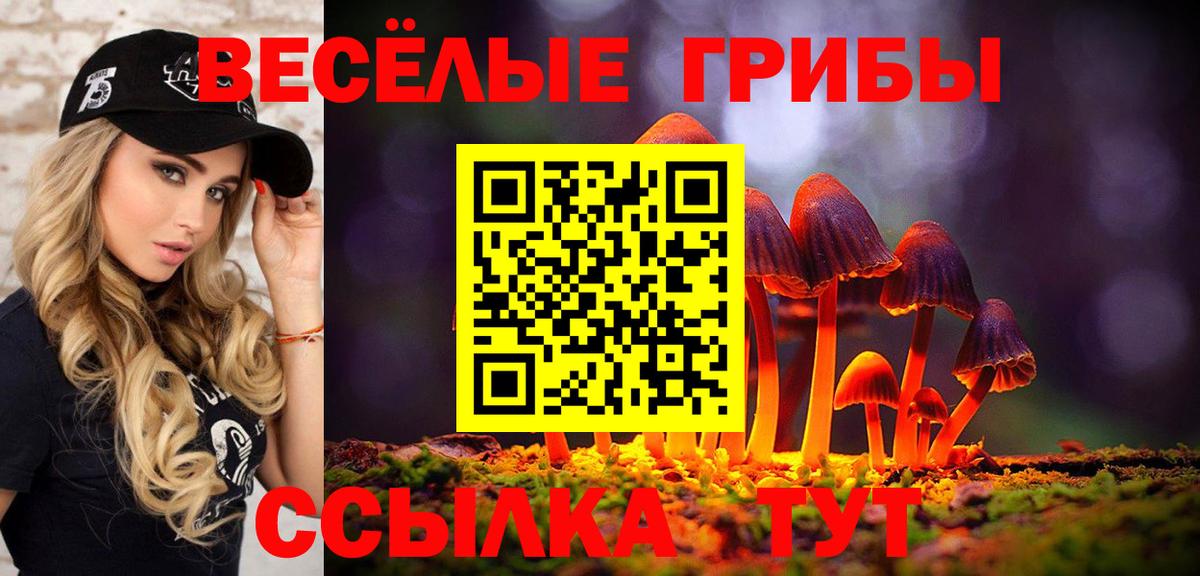 Галлюциногенные грибы прущие грибы Луховицы